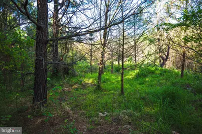 0 Harts Mill Road, Mineral, VA 23117 - Photo 33