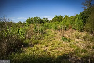 0 Harts Mill Road, Mineral, VA 23117 - Photo 29