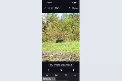 0 Harts Mill Road, Mineral, VA 23117 - Photo 57