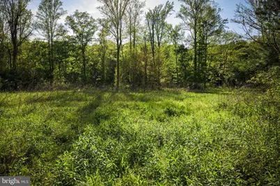 0 Harts Mill Road, Mineral, VA 23117 - Photo 23