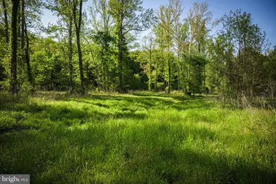 0 Harts Mill Road, Mineral, VA 23117 - Photo 21