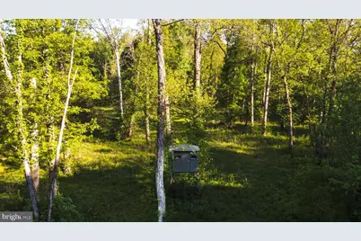0 Harts Mill Road, Mineral, VA 23117 - Photo 3