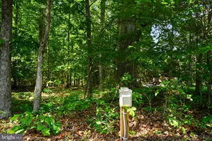 418 Windwood Coves Blvd, Mineral, VA 23117 - Photo 35