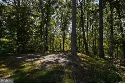 1242 N Lakeshore Drive, Louisa, VA 23093 - Photo 47