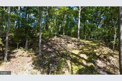 1242 N Lakeshore Drive, Louisa, VA 23093 - Photo 13