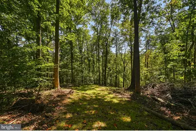 1242 N Lakeshore Drive, Louisa, VA 23093 - Photo 53