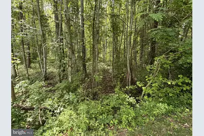 Overton Dr, Bumpass, VA 23024 - Photo 1