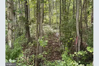 Overton Dr, Bumpass, VA 23024 - Photo 5