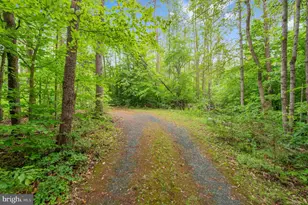 303 Pine Dr, Louisa, VA 23093 - Photo 83