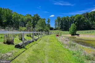 321 Willow Oak Ln, Bumpass, VA 23024 - Photo 75