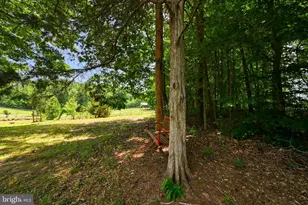 321 Willow Oak Ln, Bumpass, VA 23024 - Photo 63