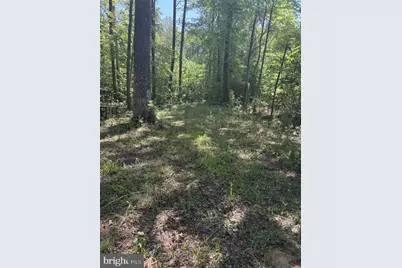 Lot 2 Plum Tree Circle, Bumpass, VA 23024 - Photo 15