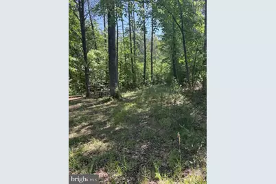 Lot 2 Plum Tree Circle, Bumpass, VA 23024 - Photo 19