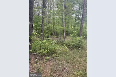 Lot 2 Plum Tree Circle, Bumpass, VA 23024 - Photo 13