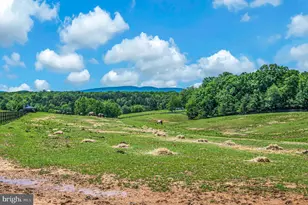 1803 Shenandoah Crossing Dr, Gordonsville, VA 22942 - Photo 51
