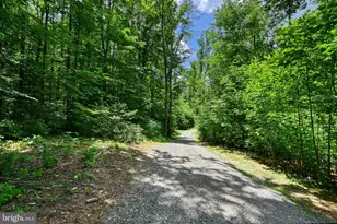 4528 E Old Mountain Rd, Louisa, VA 23093 - Photo 21