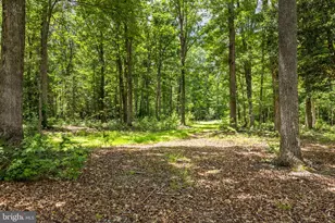 1271 Apple Grove Rd, Mineral, VA 23117 - Photo 65