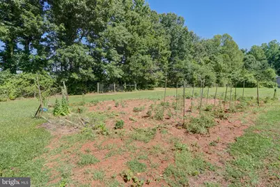 4319 Indian Creek Road, Mineral, VA 23117 - Photo 43