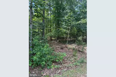 Lot 46 Hensley Road, Mineral, VA 23117 - Photo 11