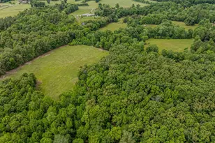 8858 Poindexter Rd, Louisa, VA 23093 - Photo 33