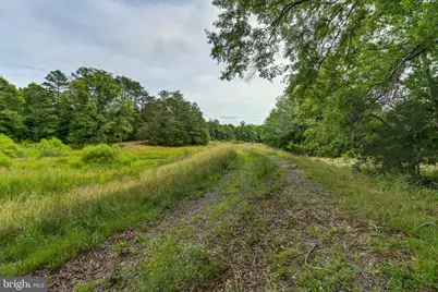 8858 Poindexter Road, Louisa, VA 23093 - Photo 37