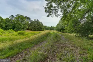 8858 Poindexter Rd, Louisa, VA 23093 - Photo 37
