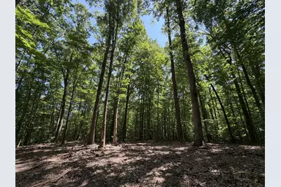 Lot 4A Parrish Road, Louisa, VA 23093 - Photo 3