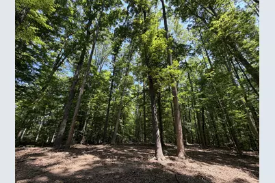 Lot 4A Parrish Road, Louisa, VA 23093 - Photo 9