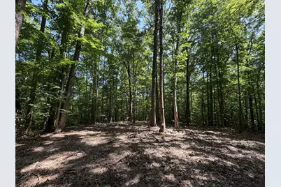 Lot 4A Parrish Road, Louisa, VA 23093 - Photo 1