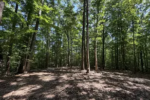 Lot 4A Parrish Rd, Louisa, VA 23093 - Photo 1