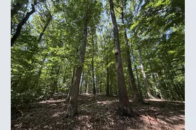 Lot 4A Parrish Road, Louisa, VA 23093 - Photo 5