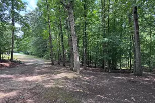 Lot 13 S Bluewater Blvd, Mineral, VA 23117 - Photo 1