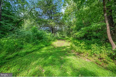 446 Bailey Drive, Louisa, VA 23093 - Photo 47