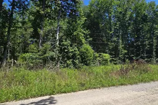 Lot 19 Meadowview Ln, Mineral, VA 23117 - Photo 1