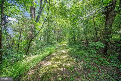 Troy Rd., Louisa, VA 23093 - Photo 15