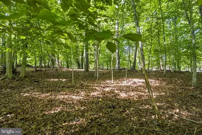 106 N Timber Tribe, Mineral, VA 23117 - Photo 53