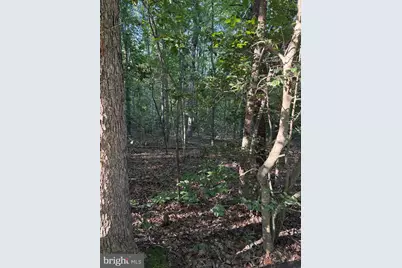 Lot 20 Foxbrook Lane, Louisa, VA 23093 - Photo 7