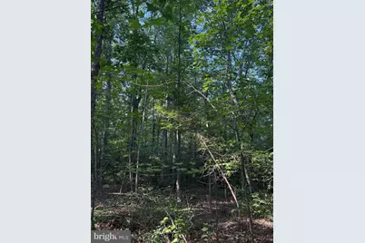 Lot 20 Foxbrook Lane, Louisa, VA 23093 - Photo 5