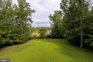 435 Fisher Dr, Mineral, VA 23117 - Photo 55