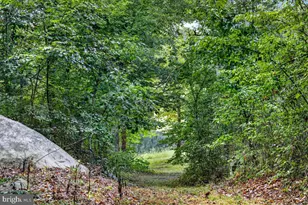 168 Alma Rd, Louisa, VA 23093 - Photo 39