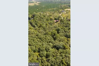 2655 Mt Airy Road, Louisa, VA 23093 - Photo 51