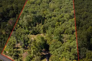 2655 Mt Airy Rd, Louisa, VA 23093 - Photo 49