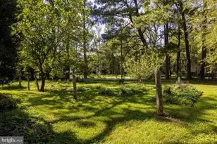 19564 Louisa Rd, Louisa, VA 23093 - Photo 41