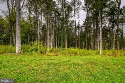 0 Compass Cove, Mineral, VA 23117 - Photo 5