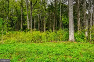 0 Compass Cove, Mineral, VA 23117 - Photo 1