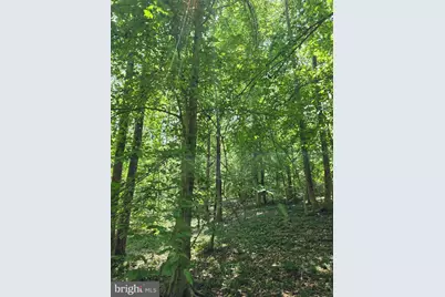 Johnson Hollow, Louisa, VA 23093 - Photo 3