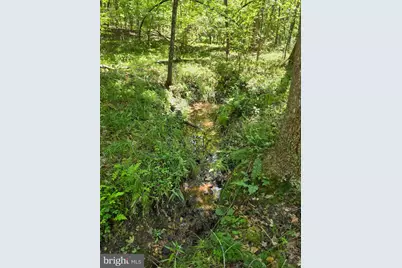 Johnson Hollow, Louisa, VA 23093 - Photo 1