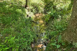Johnson Hollow, Louisa, VA 23093 - Photo 1