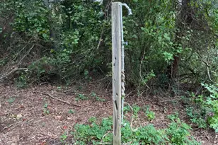 Lot 5 Aspen Hill Rd, Mineral, VA 23117 - Photo 3