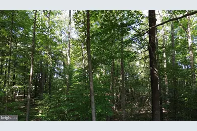 3 Acres Belsches Road, Bumpass, VA 23024 - Photo 3